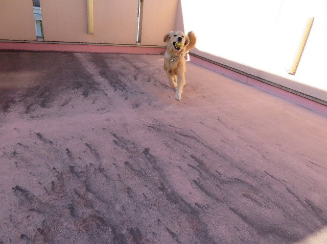 ファイル 6914-4.jpg