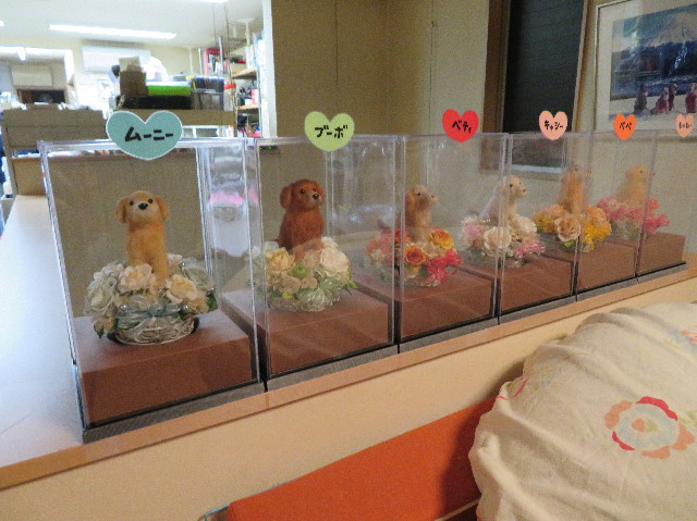 ファイル 6914-5.jpg