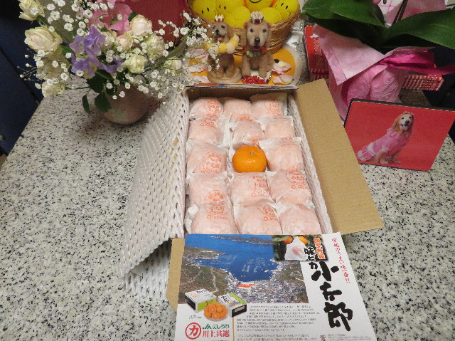 ファイル 6915-1.jpg