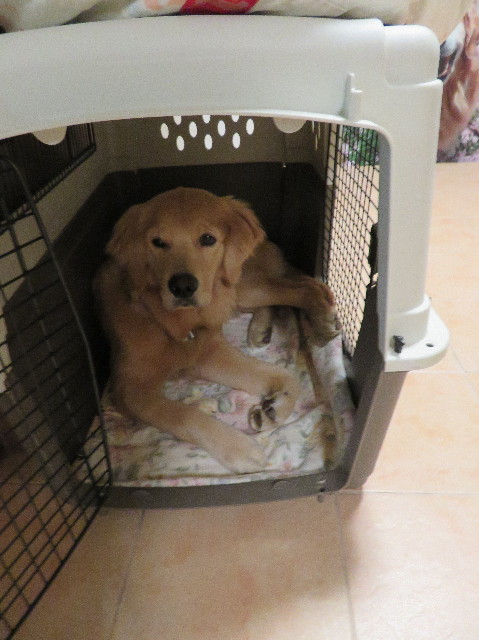 ファイル 6915-5.jpg