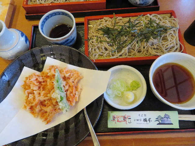 ファイル 6916-2.jpg