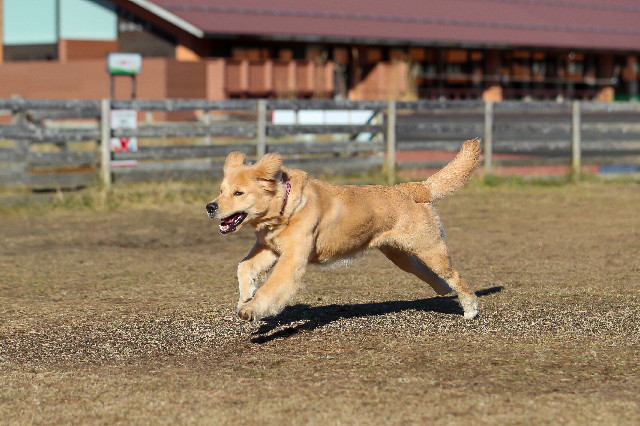 ファイル 6917-2.jpg