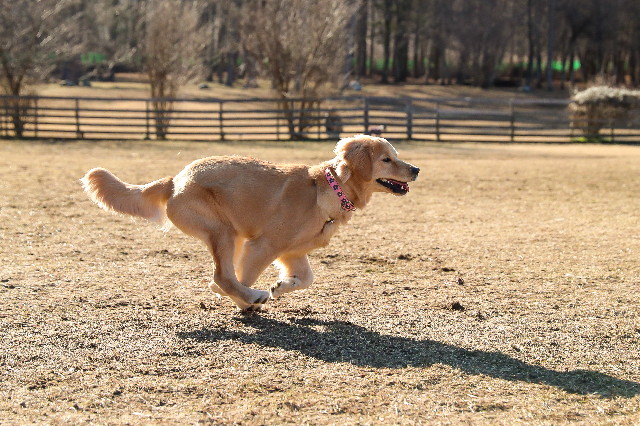 ファイル 6917-3.jpg