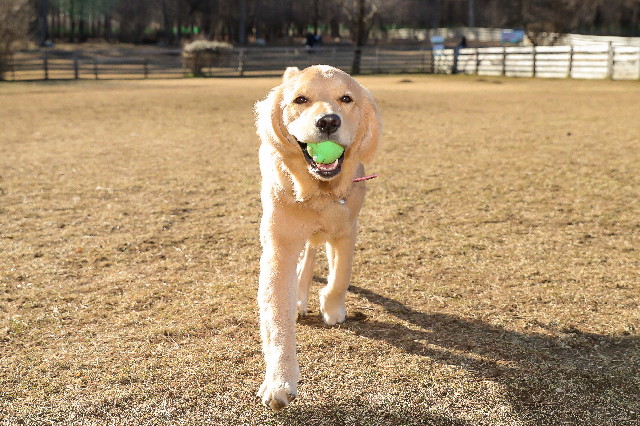 ファイル 6917-4.jpg