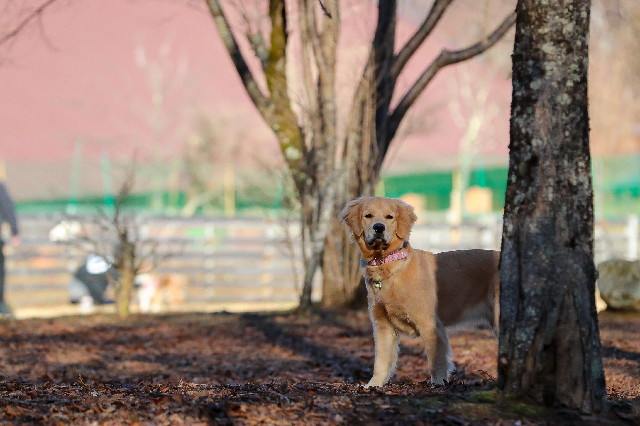 ファイル 6917-5.jpg