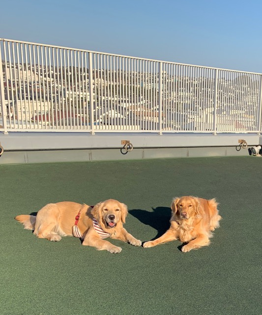 ファイル 6918-4.jpg