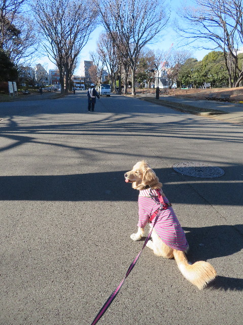 ファイル 6919-5.jpg