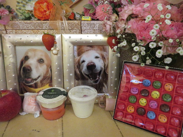 ファイル 6920-2.jpg