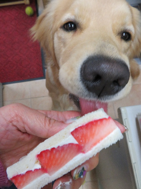 ファイル 6920-4.jpg