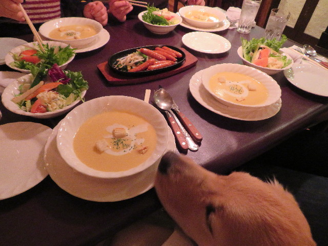 ファイル 6921-5.jpg