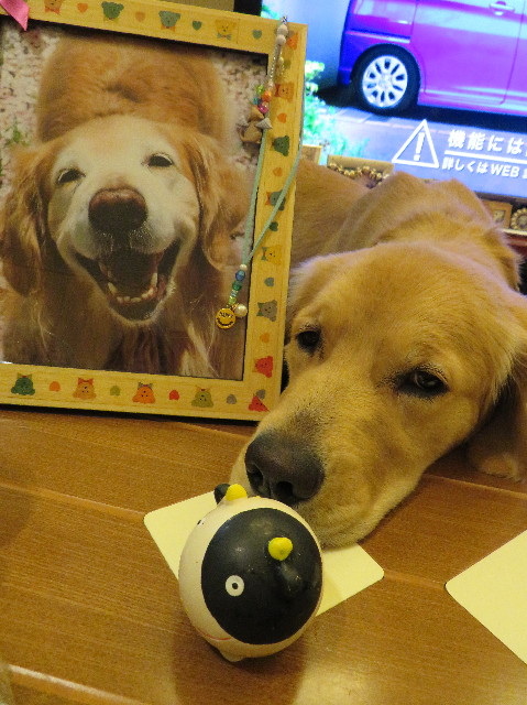 ファイル 6922-2.jpg