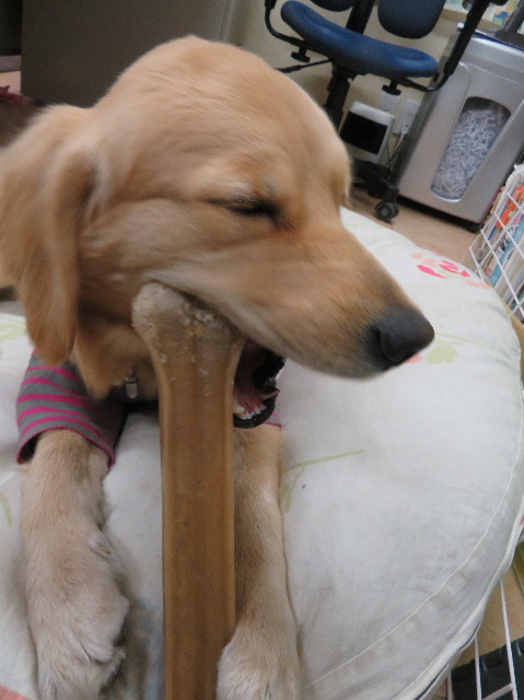 ファイル 6922-4.jpg