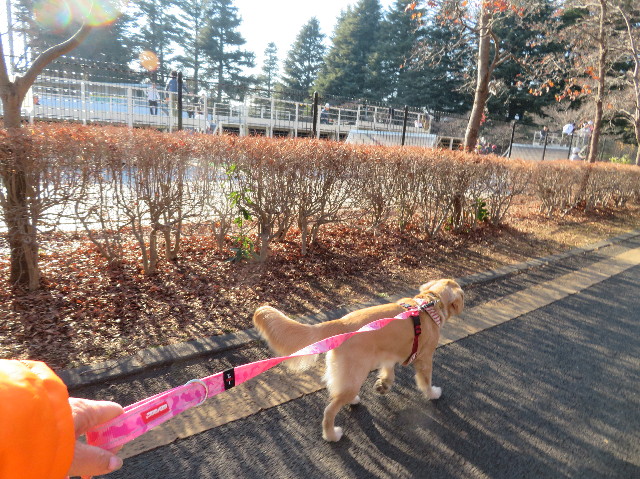 ファイル 6923-1.jpg