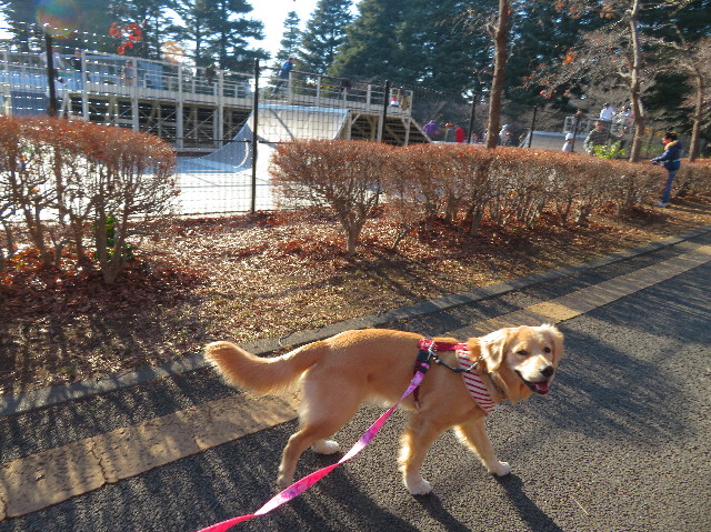 ファイル 6923-2.jpg