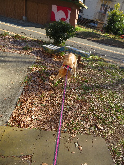 ファイル 6923-3.jpg