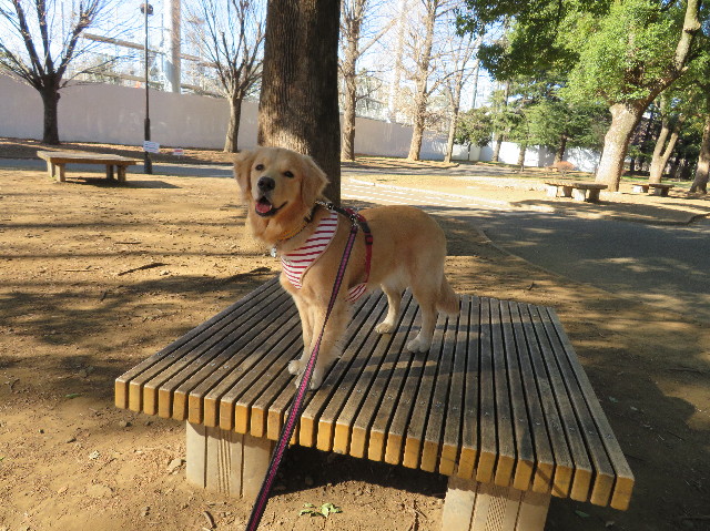 ファイル 6924-1.jpg