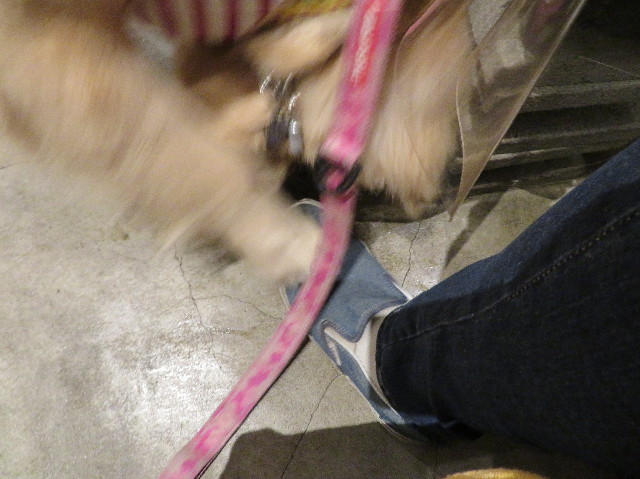 ファイル 6926-4.jpg