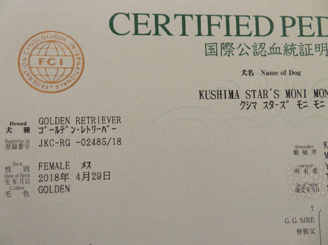 ファイル 6926-5.jpg