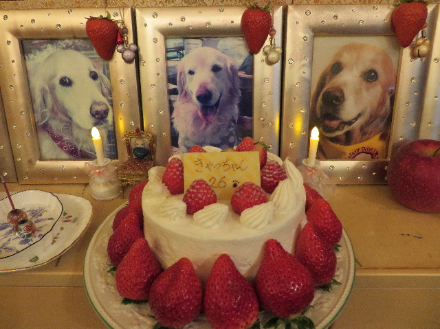 ファイル 6927-2.jpg