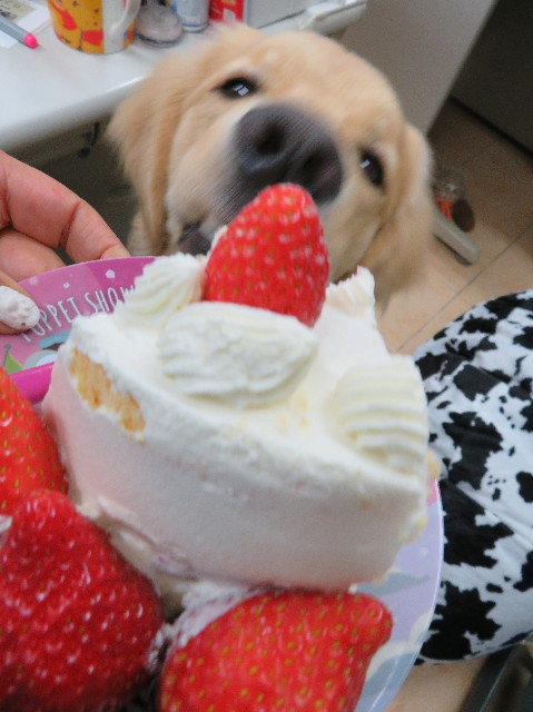 ファイル 6927-3.jpg