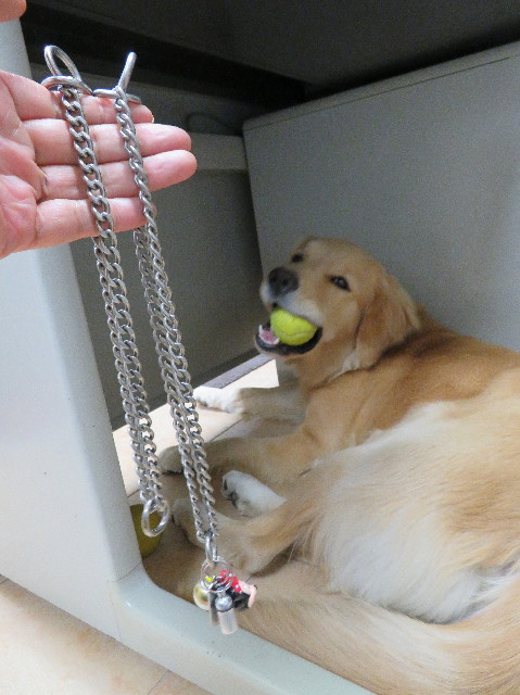 ファイル 6927-5.jpg