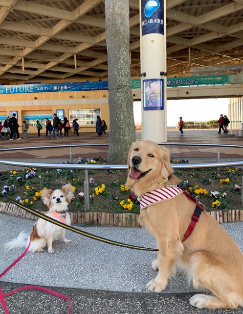 ファイル 6928-3.jpg