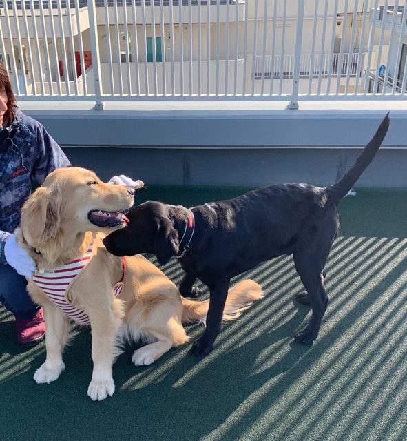 ファイル 6928-5.jpg