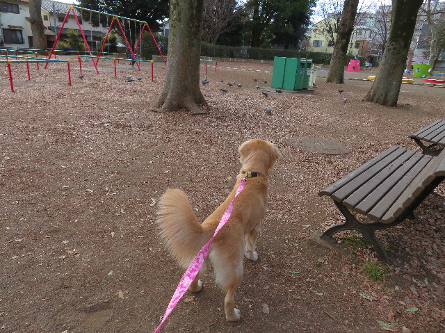 ファイル 6929-1.jpg