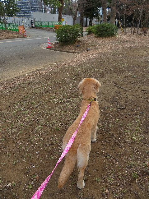 ファイル 6929-4.jpg