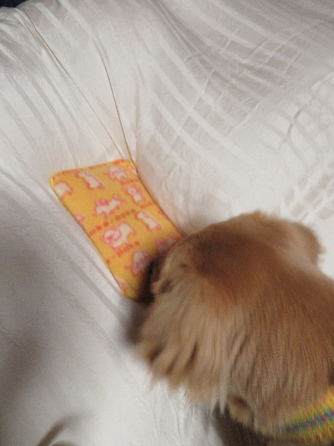 ファイル 6930-4.jpg