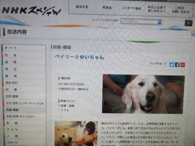 ファイル 6931-1.jpg