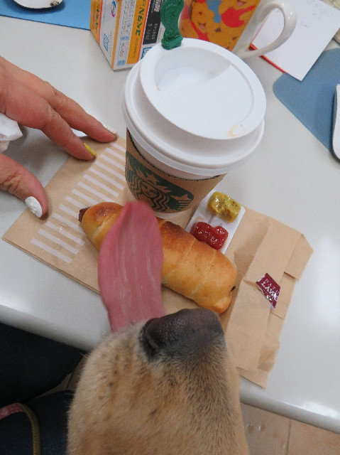 ファイル 6931-4.jpg