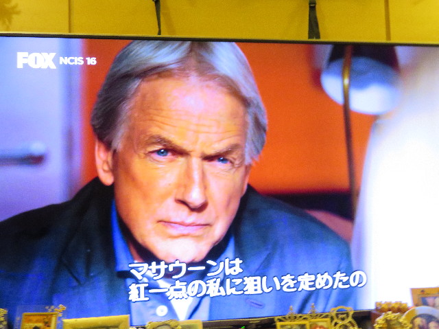 ファイル 6932-1.jpg