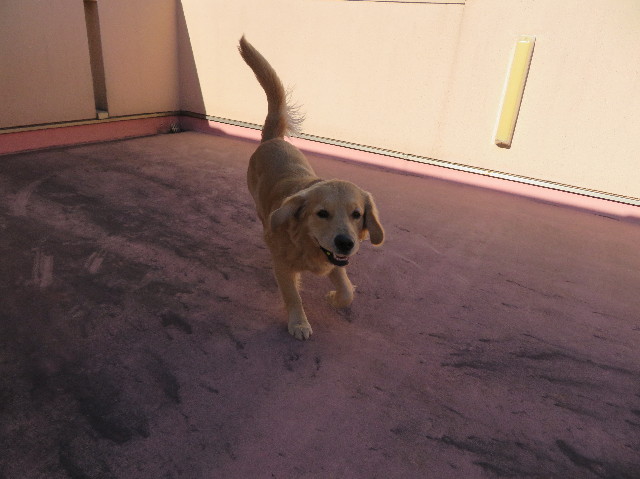 ファイル 6932-2.jpg