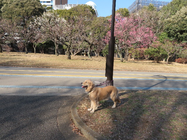 ファイル 6933-2.jpg