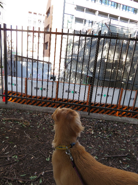 ファイル 6933-5.jpg