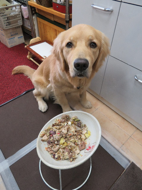 ファイル 6934-2.jpg