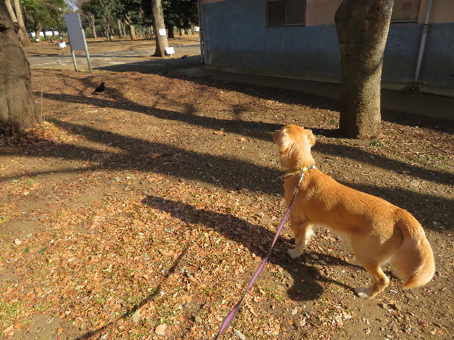 ファイル 6934-3.jpg