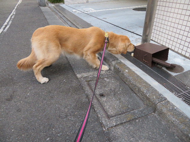 ファイル 6934-4.jpg