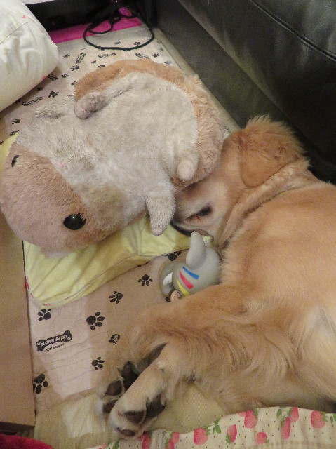 ファイル 6934-5.jpg