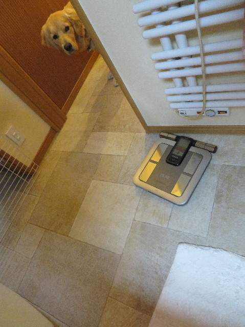 ファイル 6935-1.jpg