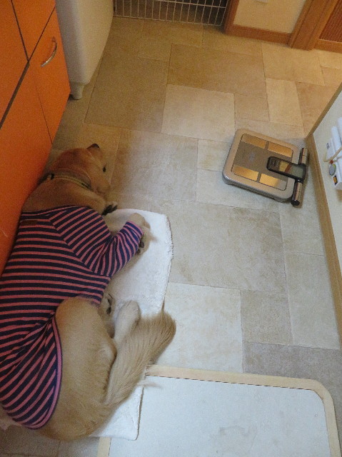 ファイル 6935-2.jpg