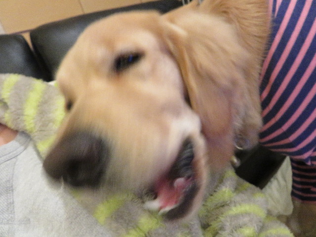 ファイル 6935-4.jpg