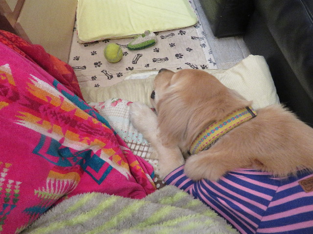 ファイル 6935-5.jpg