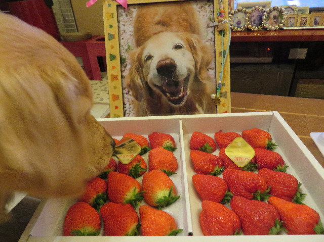 ファイル 6936-1.jpg