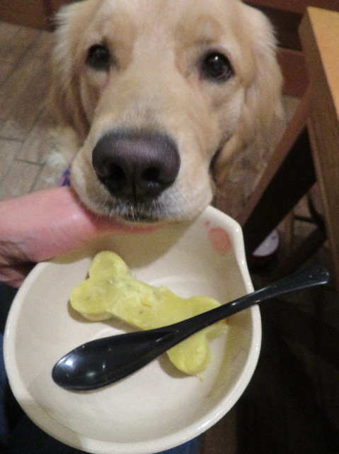 ファイル 6936-5.jpg