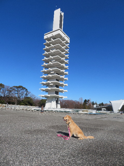 ファイル 6937-3.jpg