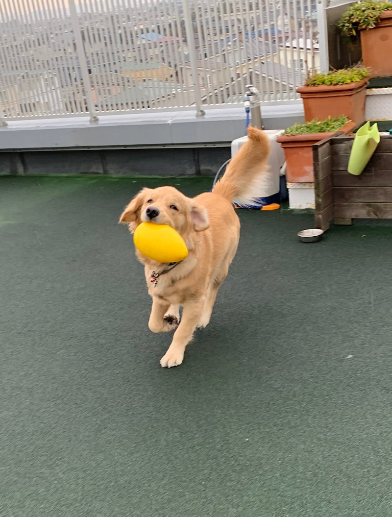 ファイル 6938-2.jpg