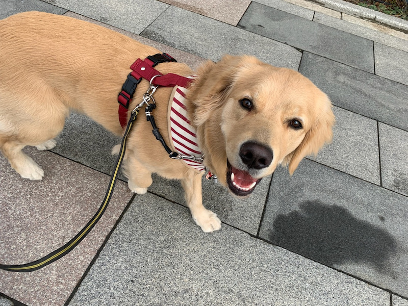 ファイル 6938-4.jpg