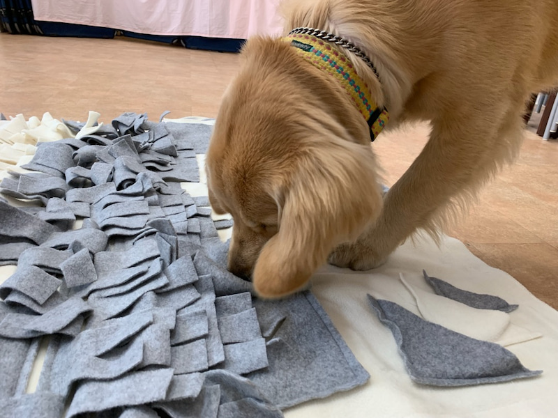 ファイル 6938-5.jpg